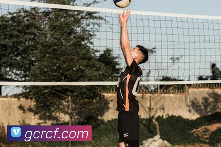 超凡国际服务体系